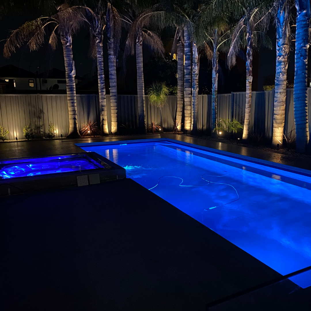 Light EMF Multi Plus LV50 Transformer Dual