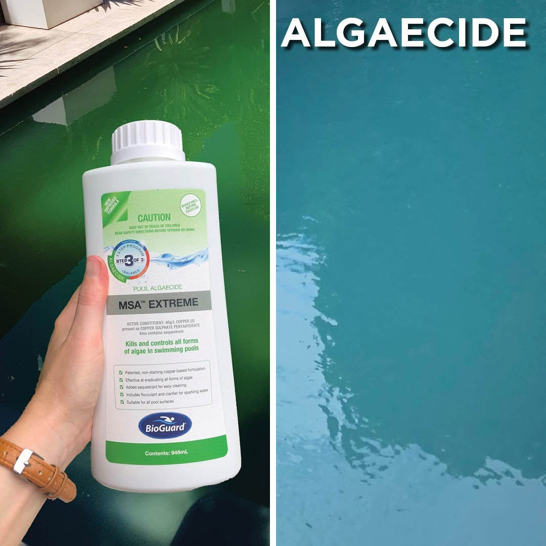 MSA Extreme Algaecide