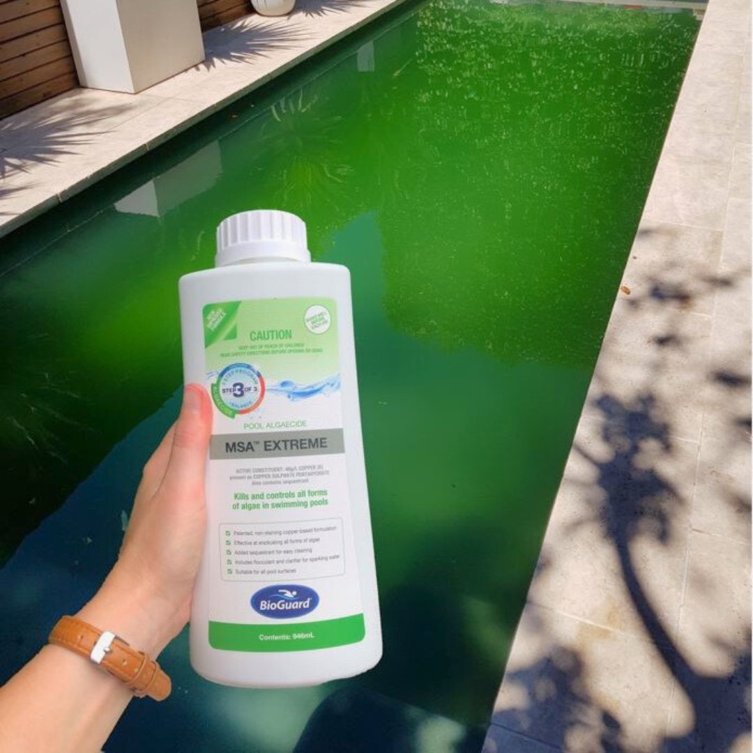 MSA Extreme Algaecide
