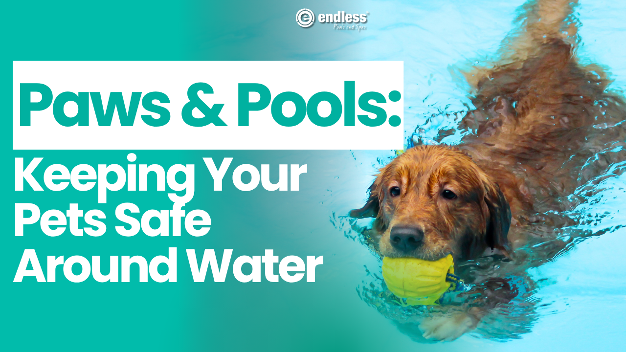 Paws & Pools: Keeping Your Pets Safe Around Water