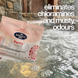 BioGuard Purity spa odor and impurity remover
